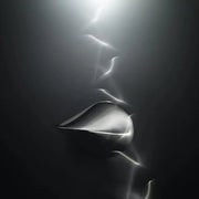 Stainless Steel Fidget Ball